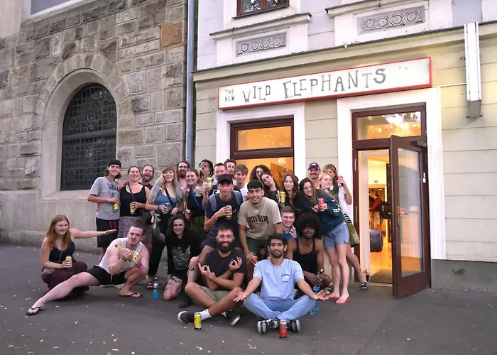 Wild Elephants Hostel Pressburg